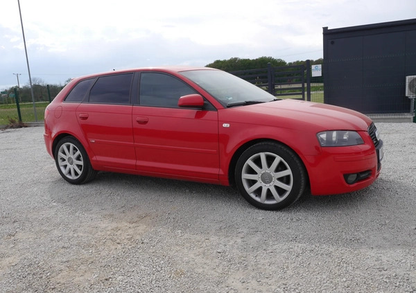 Audi A3 cena 18800 przebieg: 221694, rok produkcji 2006 z Szczytna małe 326